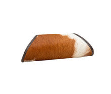 Corneaz Sun Glass Case